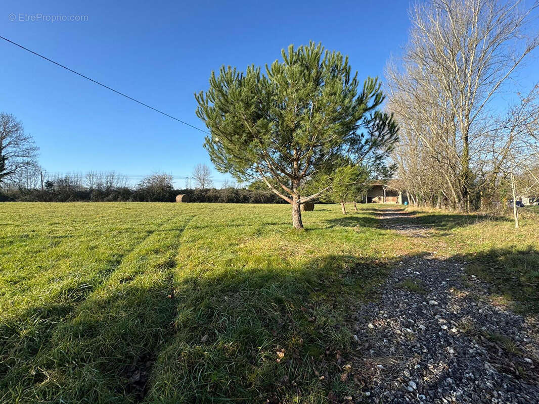 Autre à VILLENEUVE-SUR-LOT