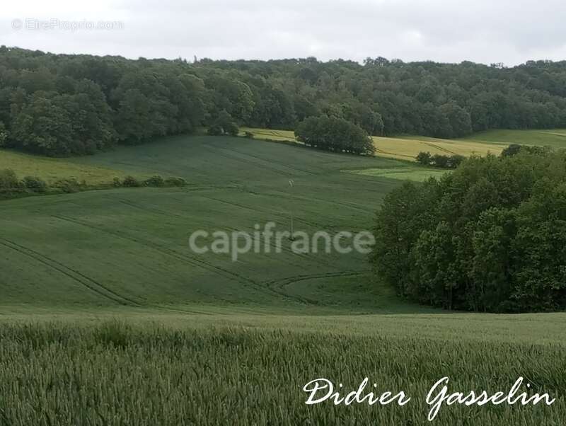 Terrain à vendre  BRUNELLES (28) - photo 3