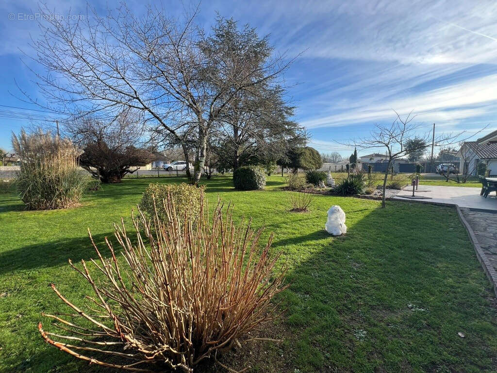 Autre à SAINT-DENIS-DE-PILE