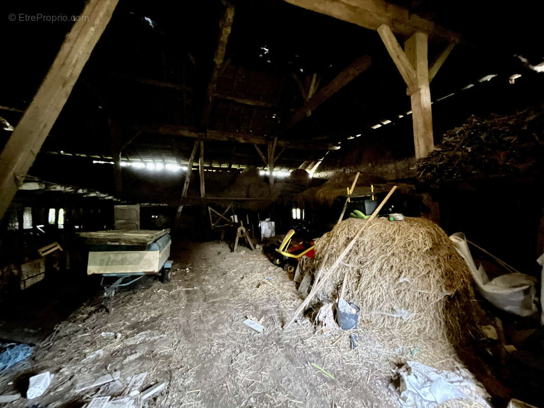 Maison à LESIGNAC-DURAND