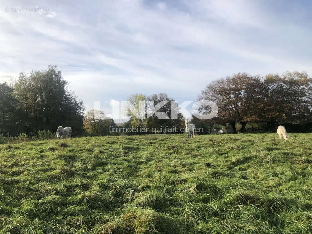 Terrain à GOMMEGNIES