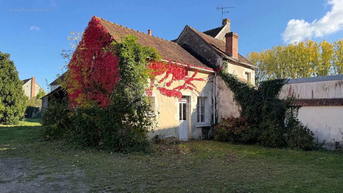Maison Bonny Sur Loire deux maisons terrain 1762 m² - photo 5