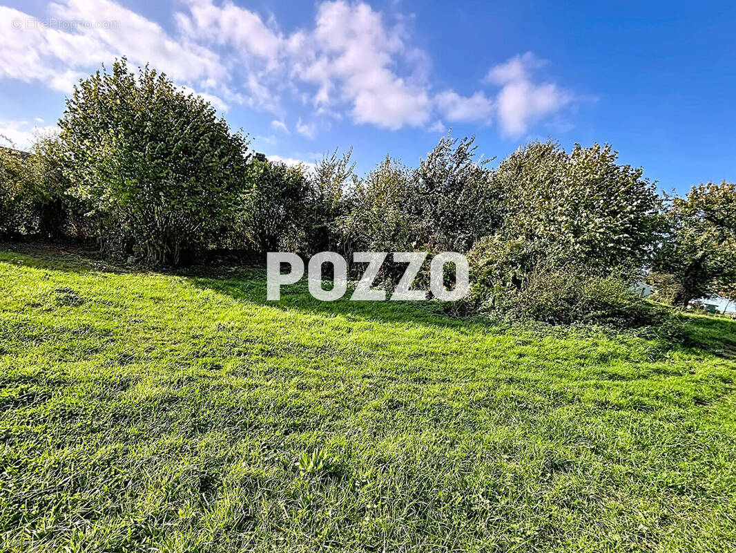 Terrain à COUDEVILLE-SUR-MER