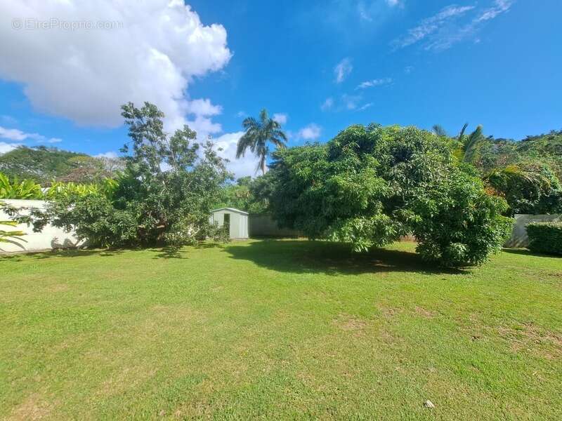 Maison à BAIE-MAHAULT