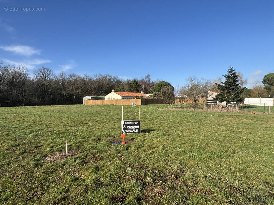 Terrain à TALMONT-SAINT-HILAIRE