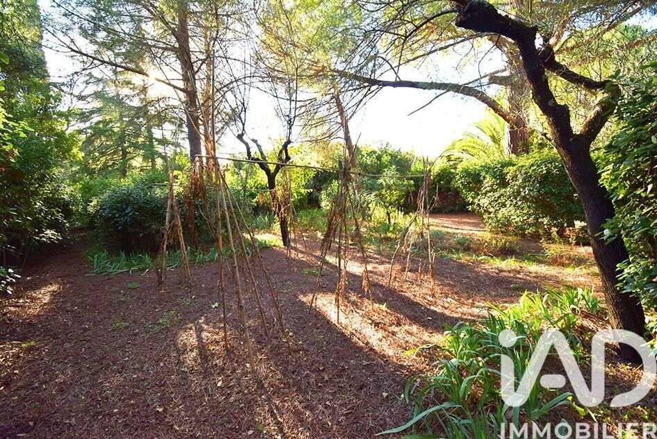 Photo 3 - Maison à MONTPELLIER