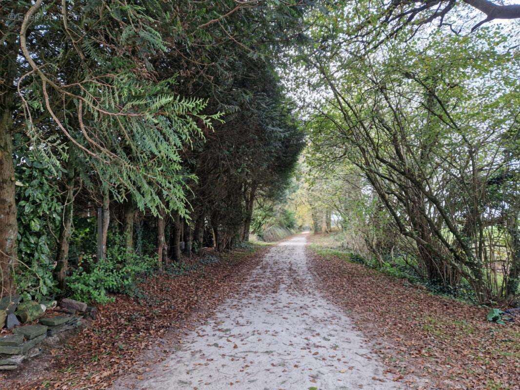 Maison à MAEL-CARHAIX