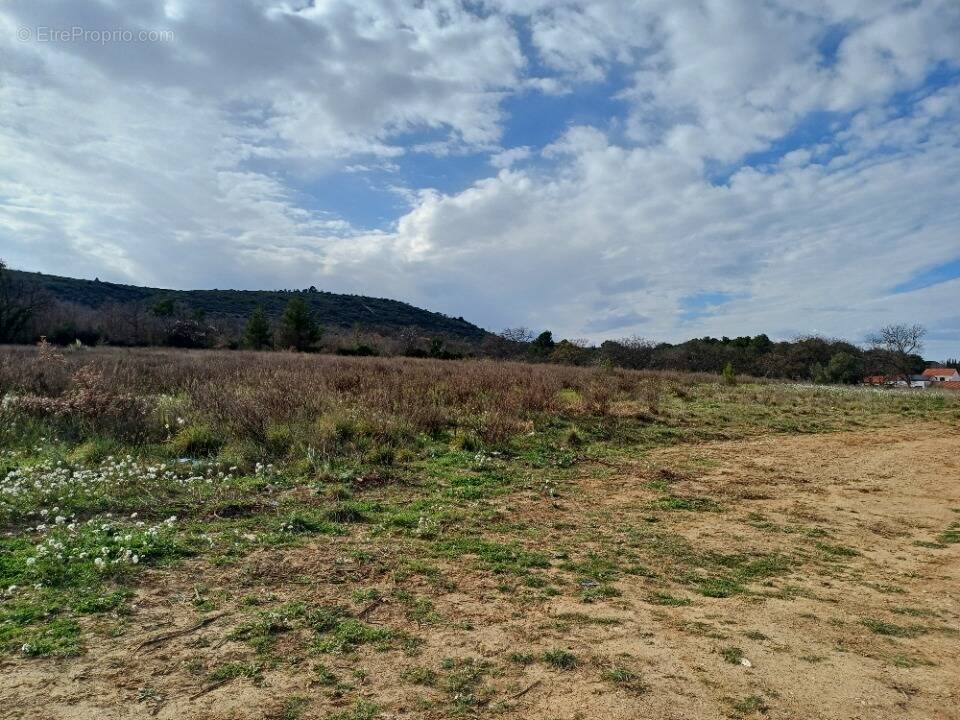 Terrain à THUIR
