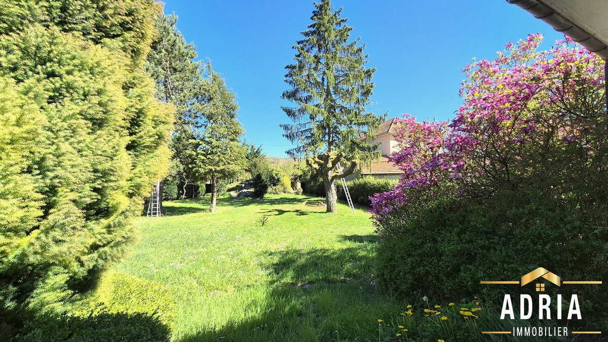 Parc clos et arboré - Maison à DORNOT