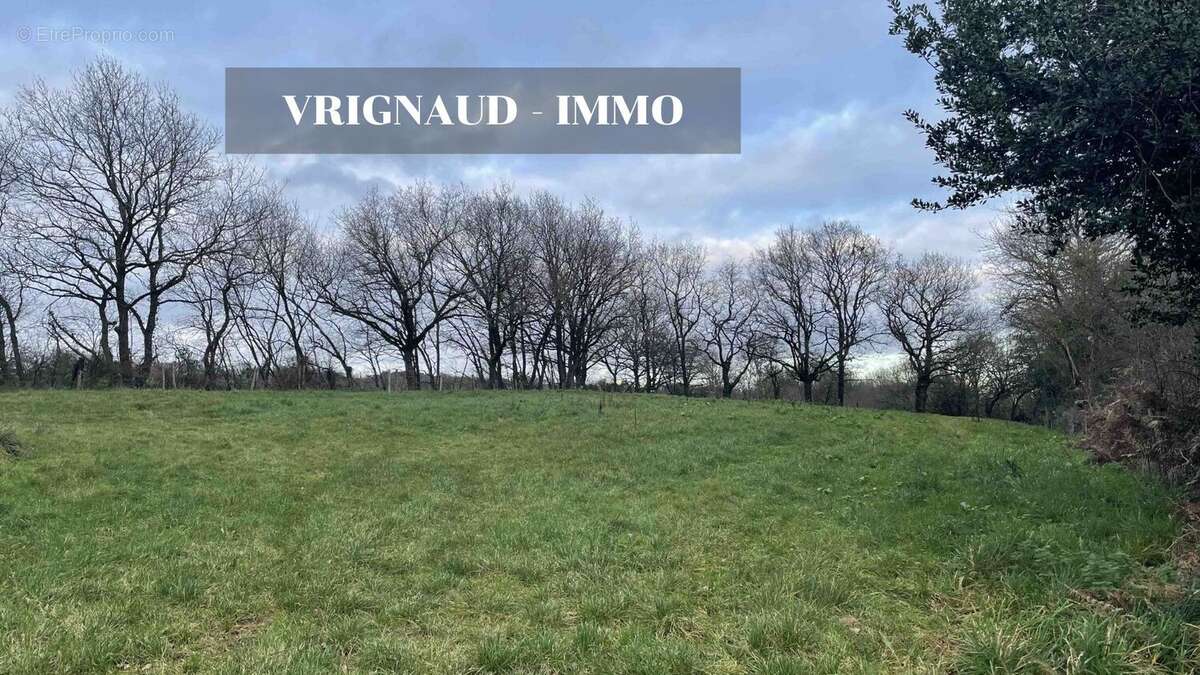 Terrain à LES HERBIERS