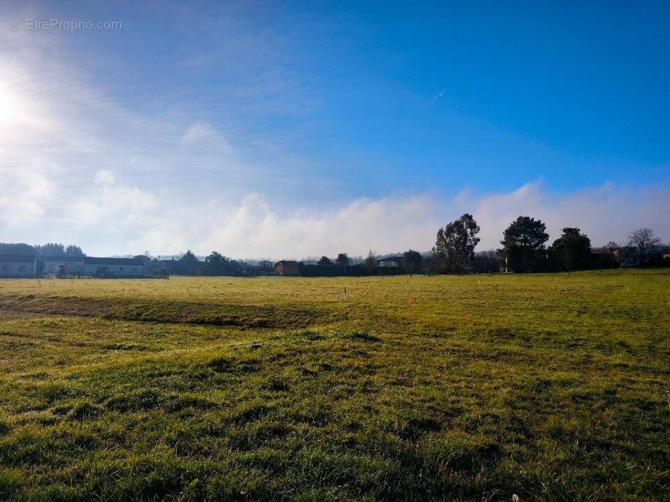 Terrain à SAINT-NAUPHARY