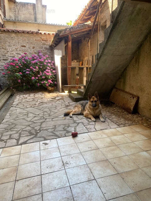 Maison à BELLAC