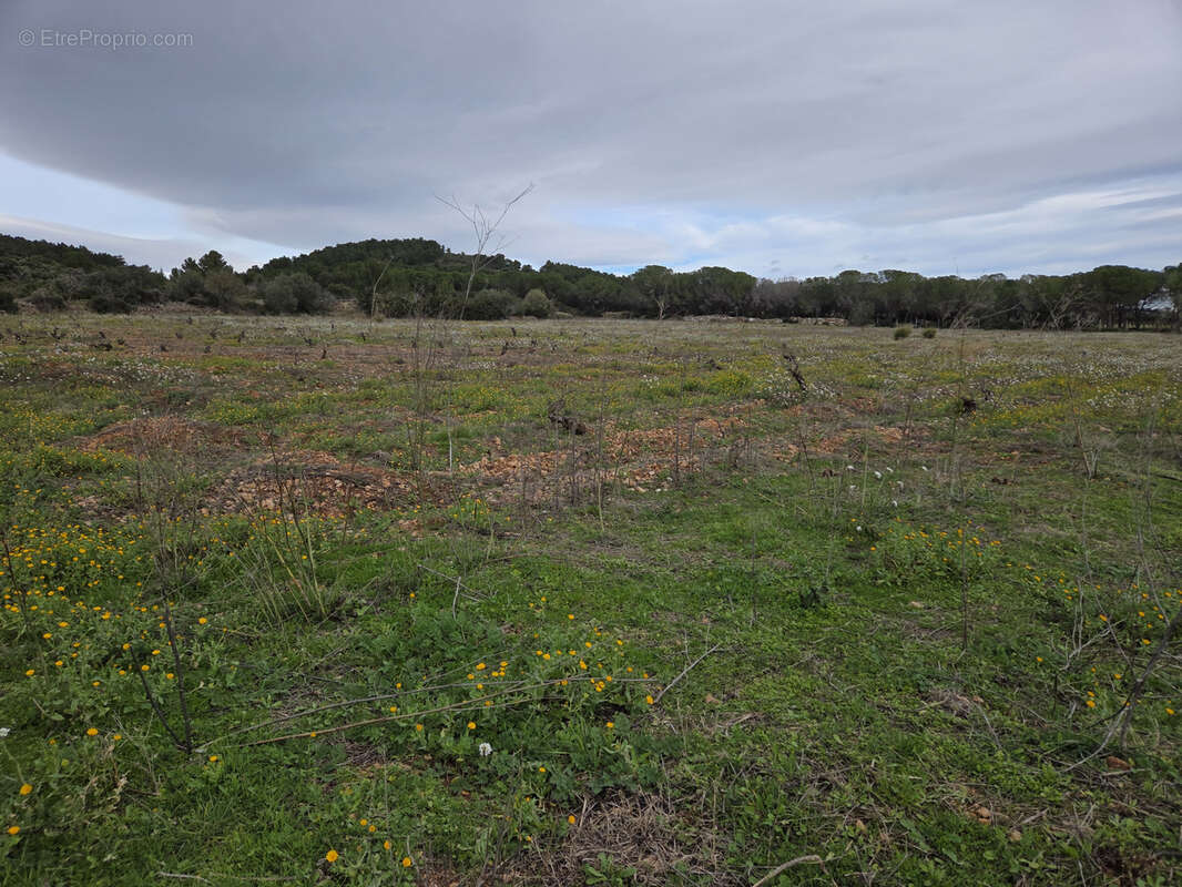 Terrain à FRONTIGNAN