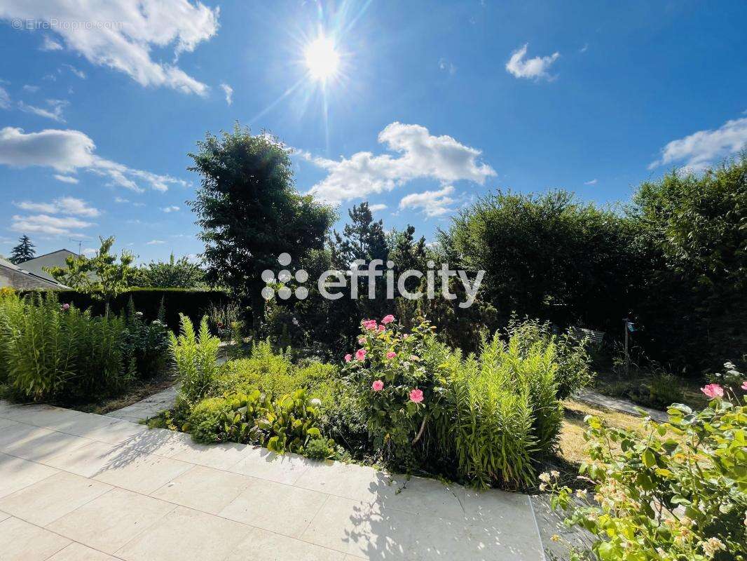 Maison à SAINT-JEAN-LE-BLANC