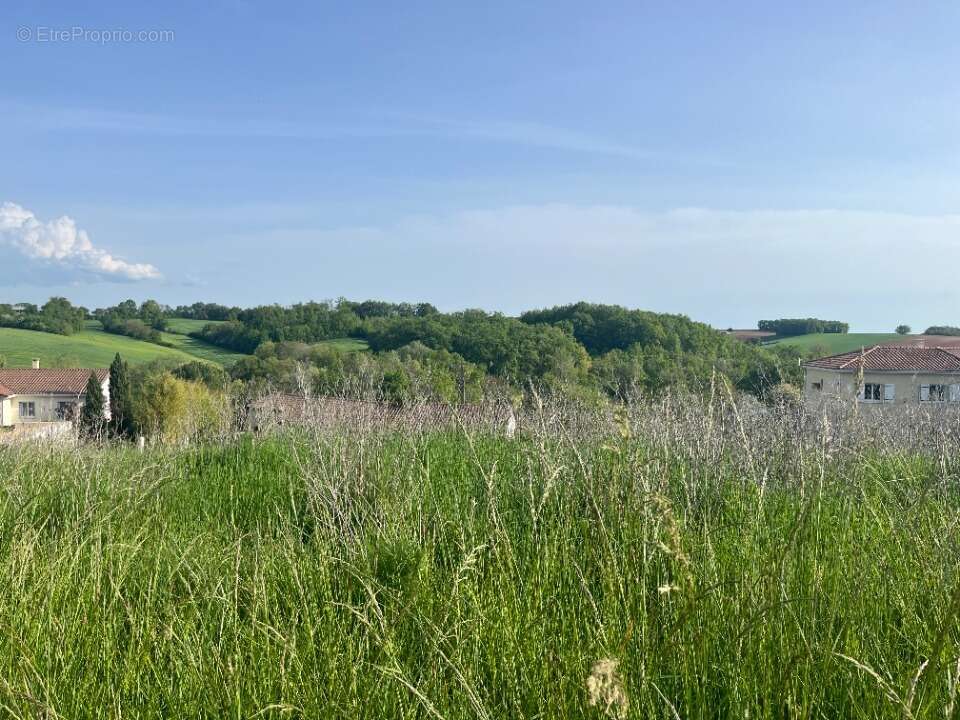 Terrain 1500 m² à Lamillarie  - photo 3