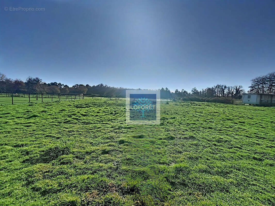 Terrain à ETAULIERS