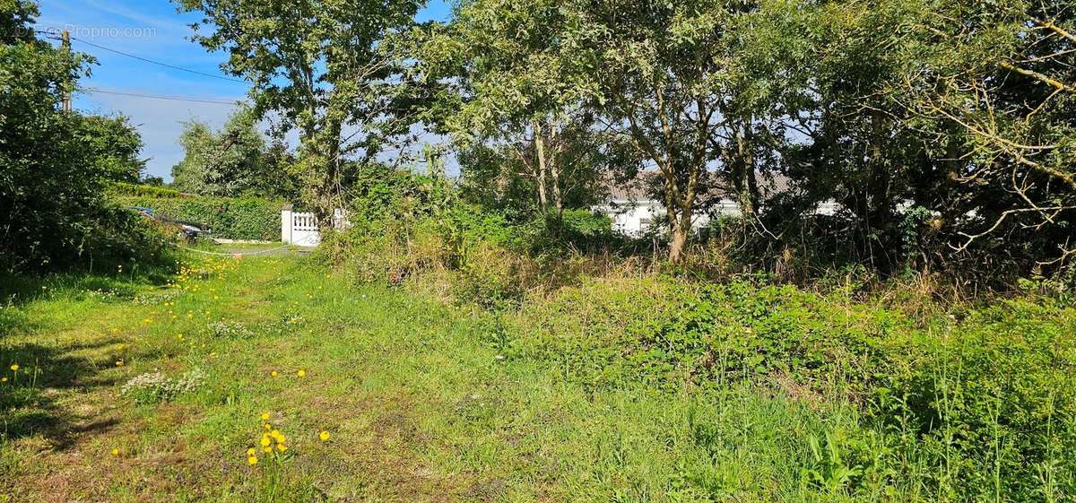 Photo 7 - Terrain à LA PLAINE-SUR-MER