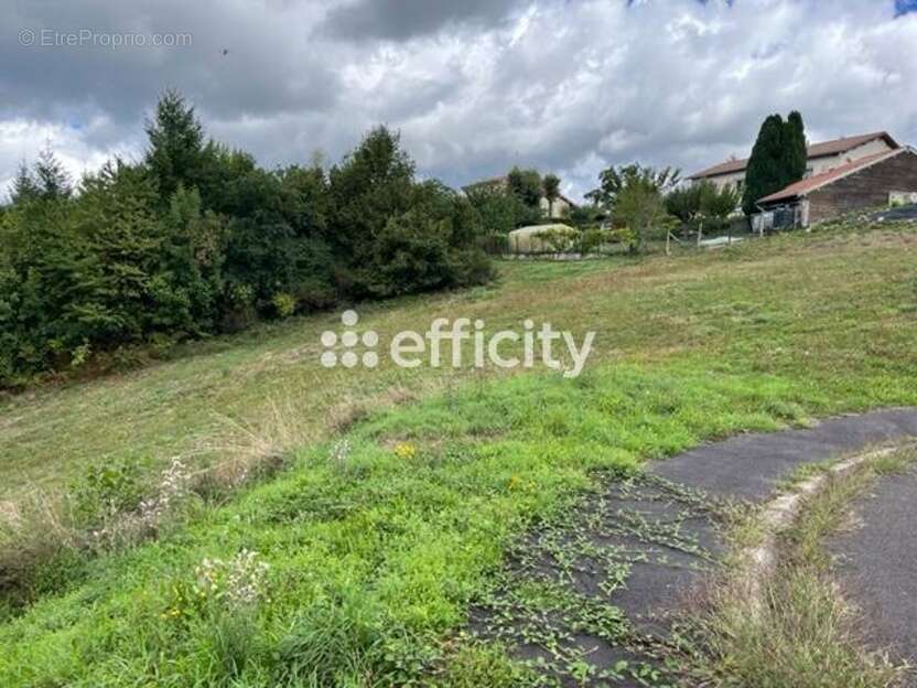 Terrain à LA MONNERIE-LE-MONTEL