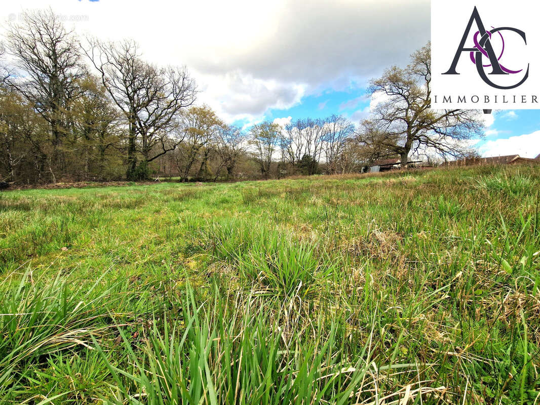 Terrain à VIGNOUX-SUR-BARANGEON