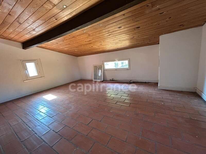 Terrain 16 200 m² + Maison autonome – Gigean – Vue imprenable – Calme absolu - photo 5