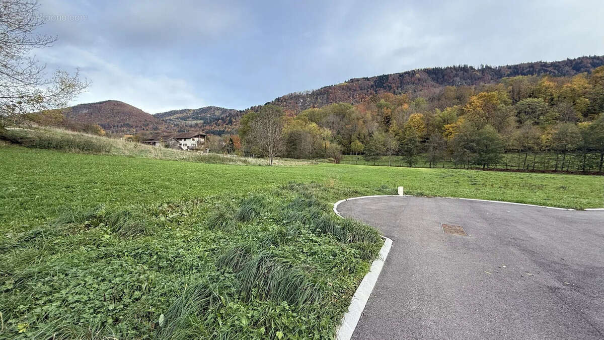 Terrain 500 m² à Cervens  - photo 3