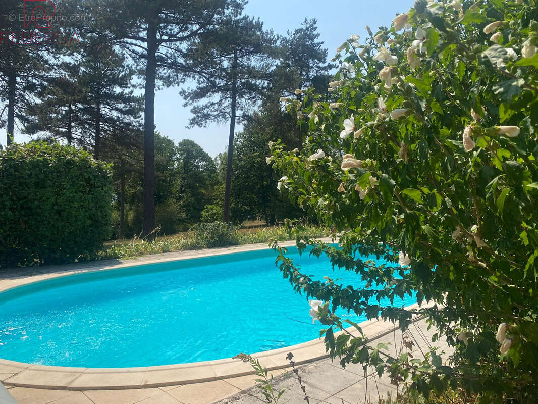 Maison 218 m² à Pont-De-Larn  - photo 2