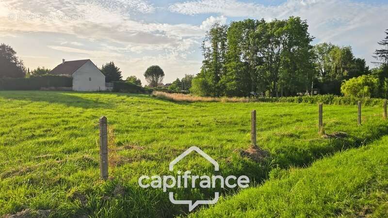 A vendre Terrain de 4080 m² proche CHALON SUR SAONE - photo 3