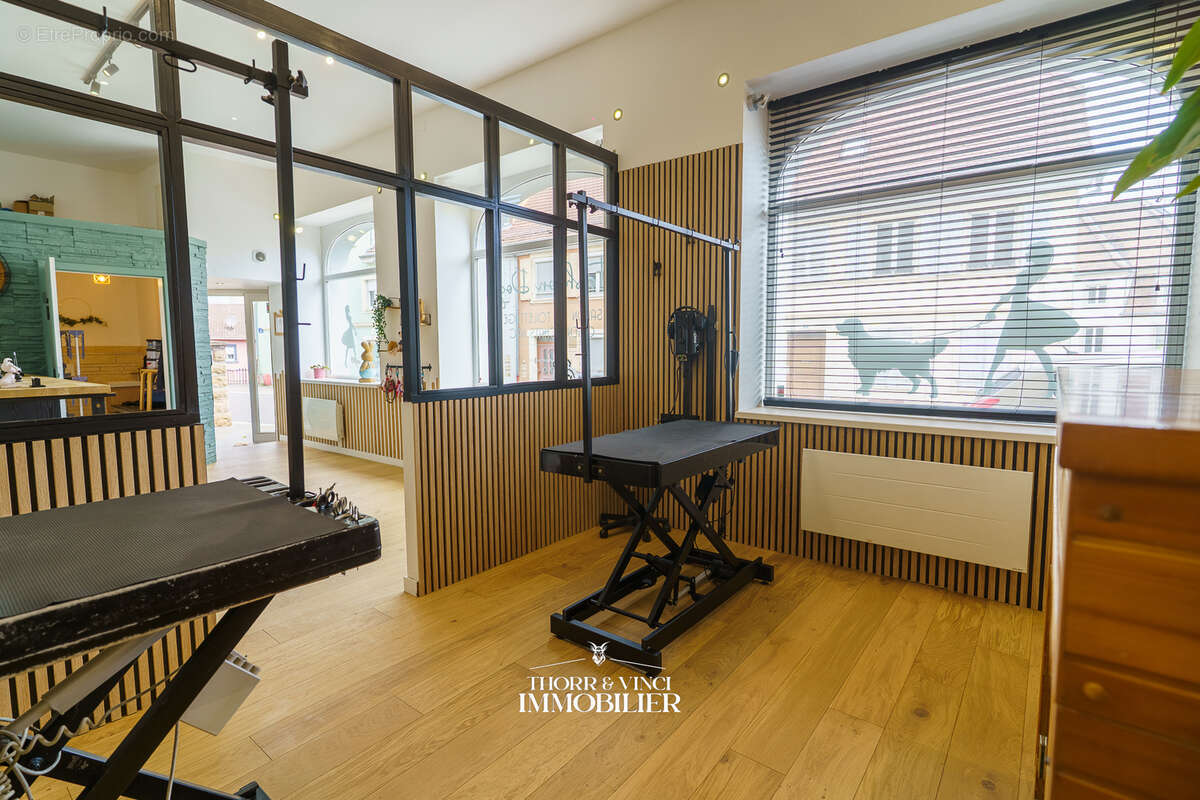 Local Professionnel- 55 m2 - Altkirch - photo 14
