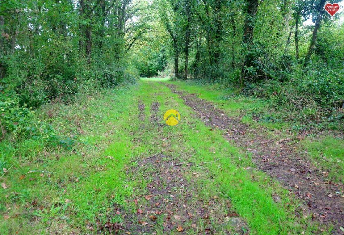 Maison à SAINT-AMAND-MONTROND