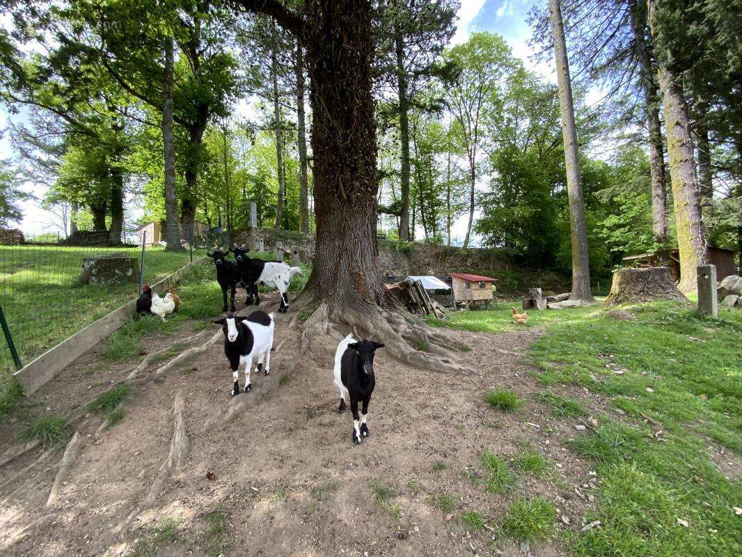 Maison à BERSAC-SUR-RIVALIER