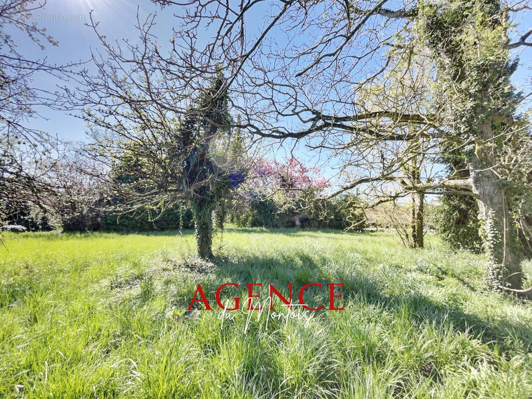 Terrain à BRAY-SUR-SEINE