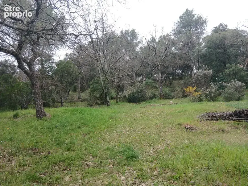 Terrain à CARNOULES