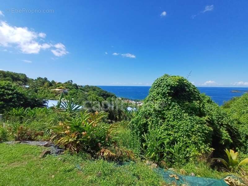 Terrain à BOUILLANTE