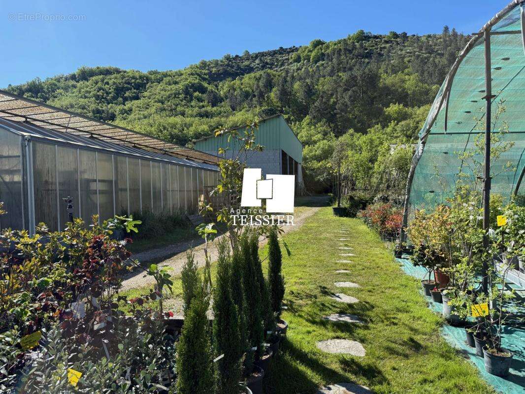 Commerce à LES VANS