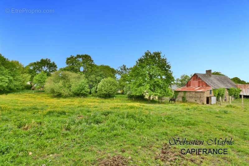 Maison à SAINT-AUBIN-DE-TERREGATTE