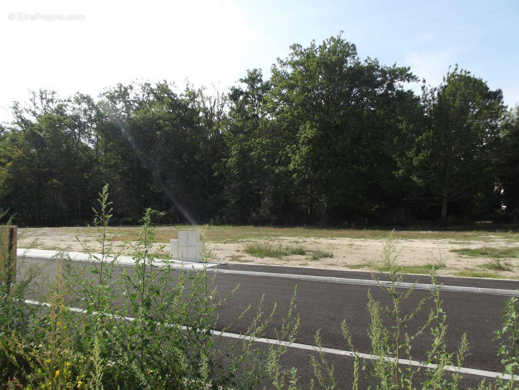 Terrain à BELIN-BELIET