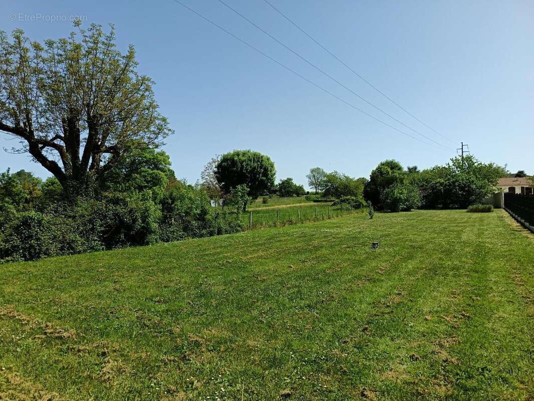 Photo 2 - Maison à COGNAC