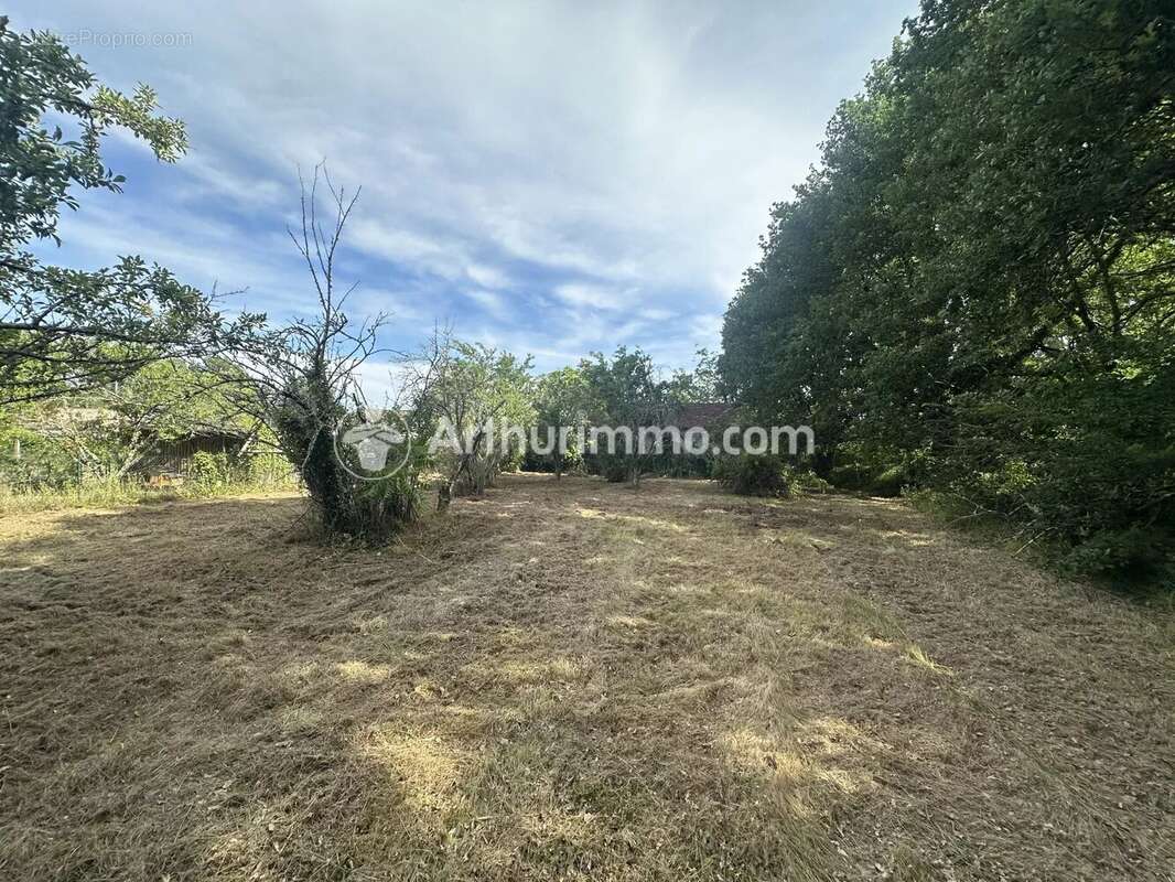 Ensemble immobilier avec maison, grange et plus de 7 000 m² de terrain – Neuvic - photo 6