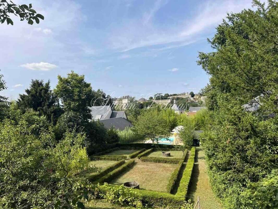 Propriete à vendre 32 pièces AMBOISE (37) - photo 29