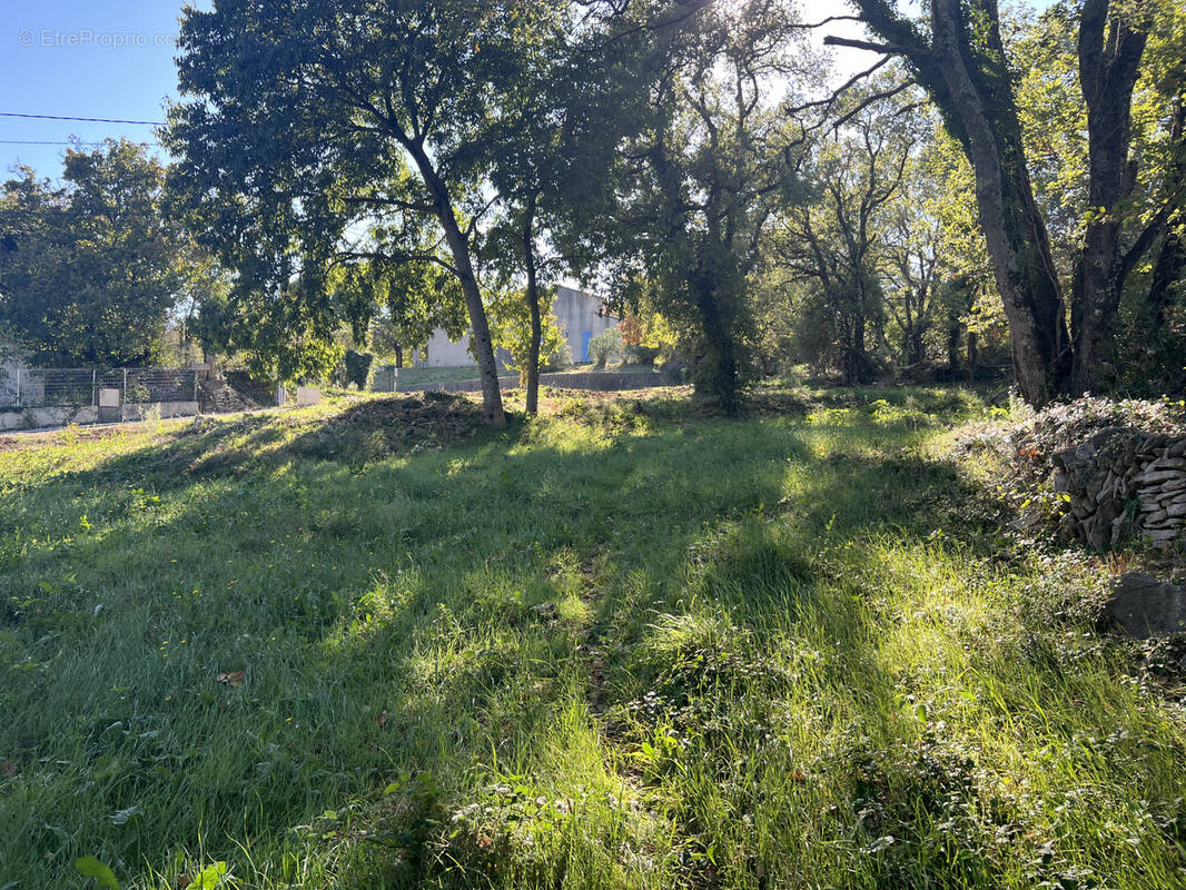 Terrain à SALAZAC