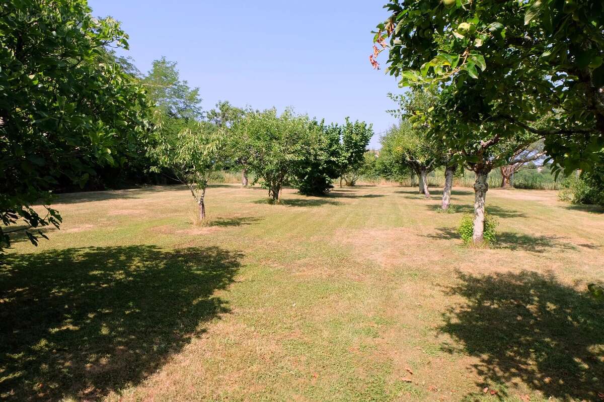 Impressionnante maison en pierre avec piscine et jardins très privés - photo 18