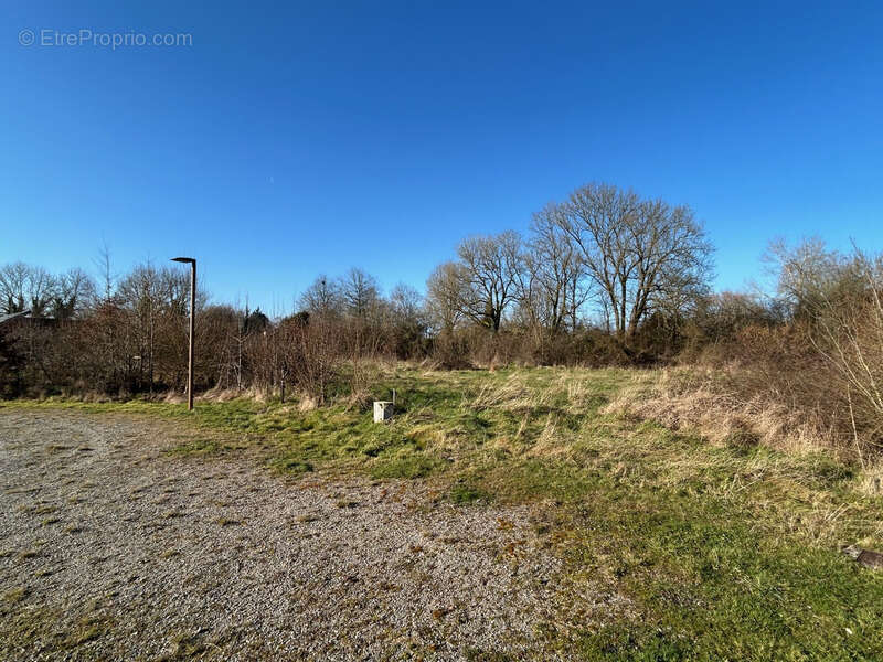 Terrain a vendre 1000 m² en éco-lotissement !! - photo 7