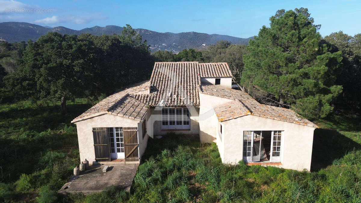 Maison à ZONZA