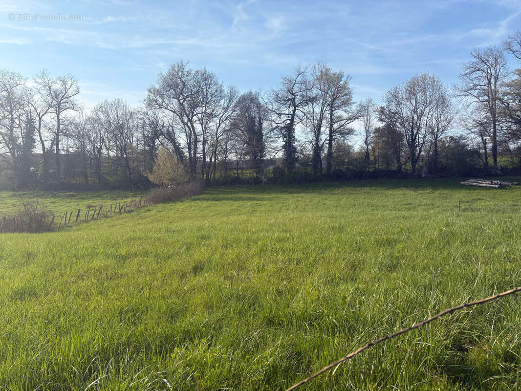 Terrain à SAINT-VIANCE