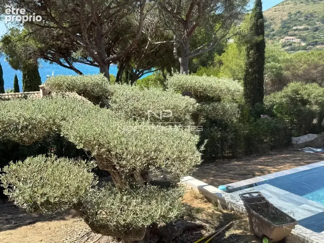 Villa à Ramatuelle, dans un domaine privé et à seulement 300 mètres de la plage. - photo 3