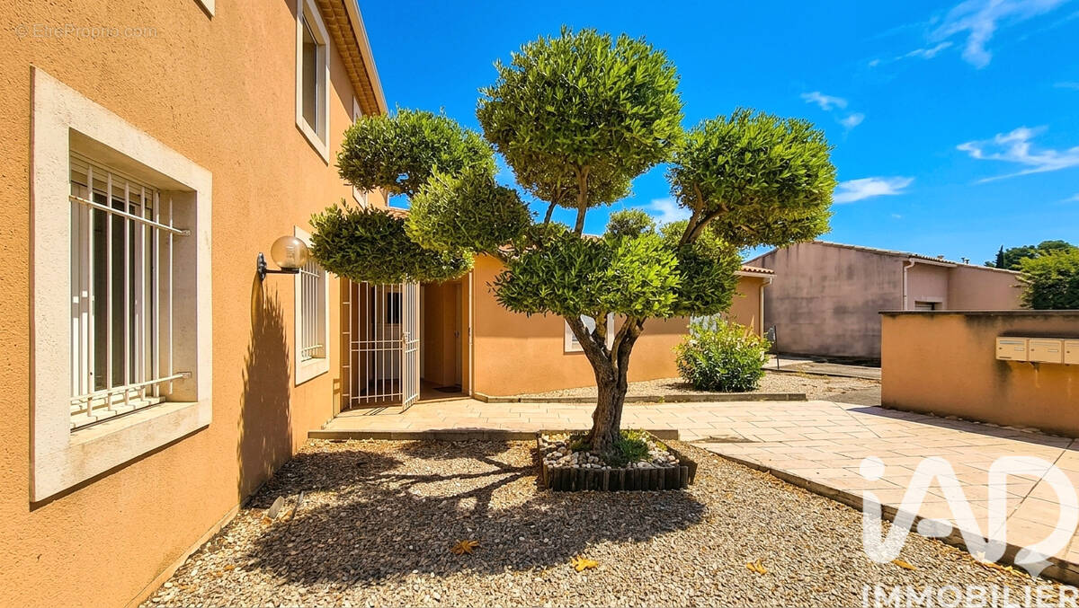 Photo 1 - Appartement à L'ISLE-SUR-LA-SORGUE