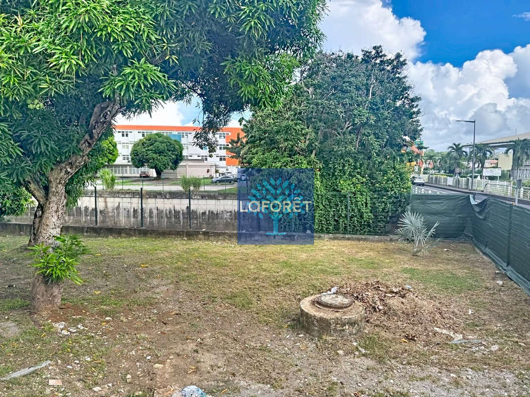 Commerce à FORT-DE-FRANCE