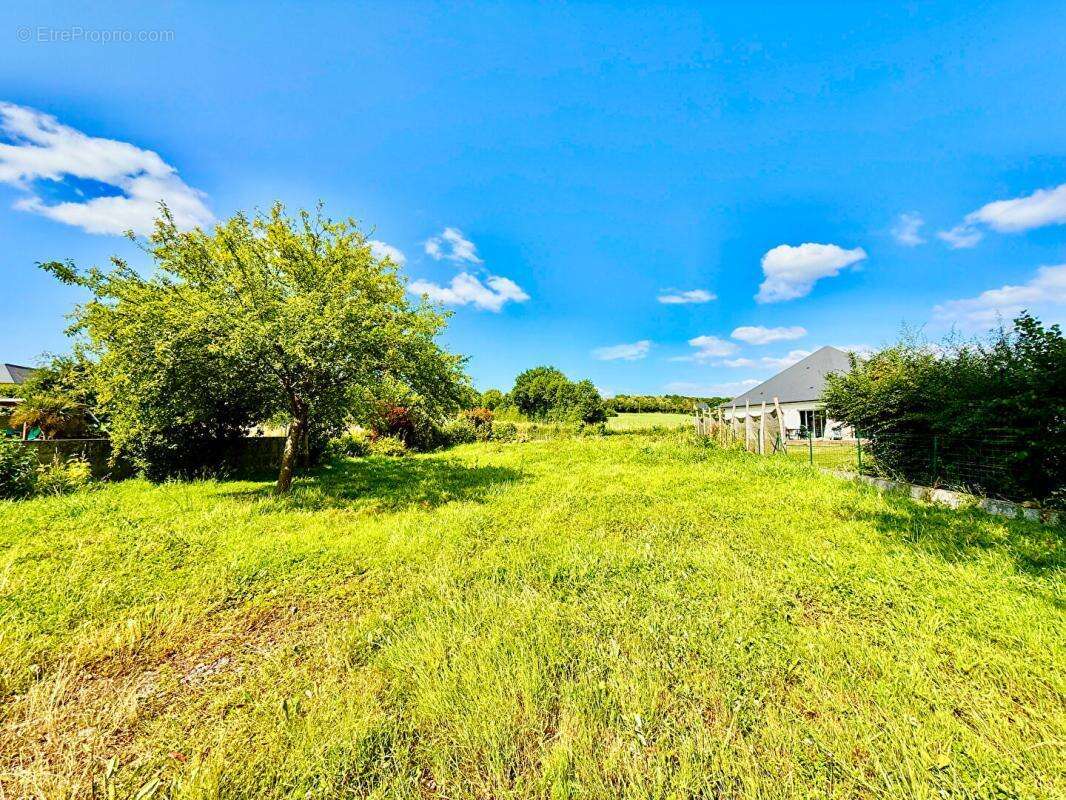 Terrain à CHAMPIGNE