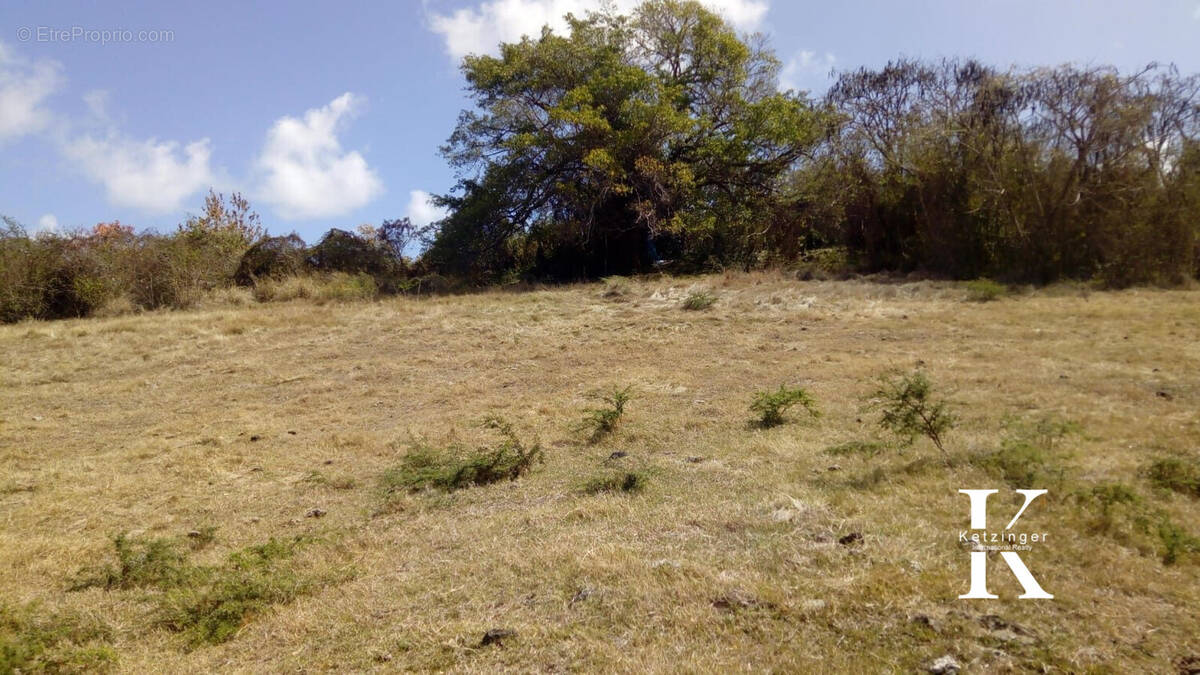 Terrain à LE VAUCLIN