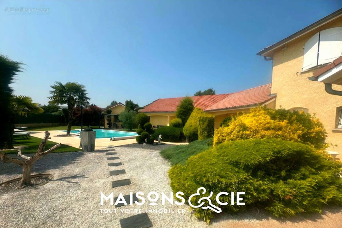 Maison à LAGNIEU